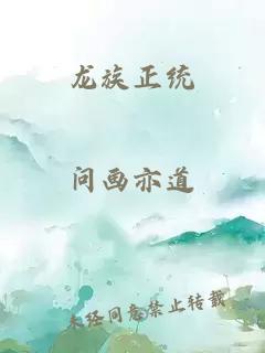 龙族正统