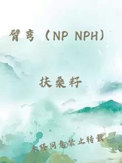 臂弯（NP NPH）