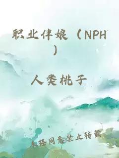 职业伴娘（NPH）