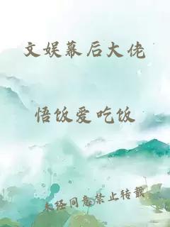 文娱幕后大佬