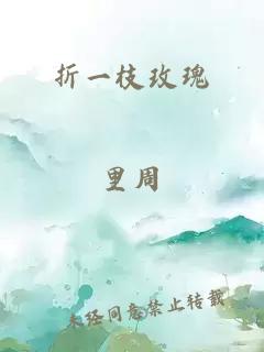 折一枝玫瑰