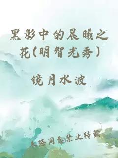 黑影中的晨曦之花(明智光秀)