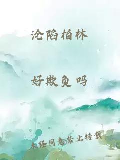 沦陷柏林