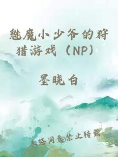 魅魔小少爷的狩猎游戏（NP）