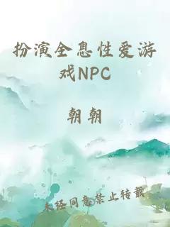 扮演全息性爱游戏NPC