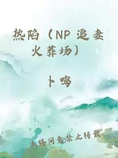 热陷（NP 追妻火葬场）