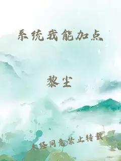 系统我能加点