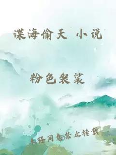 谍海偷天 小说