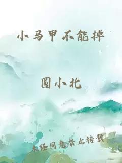 小马甲不能掉