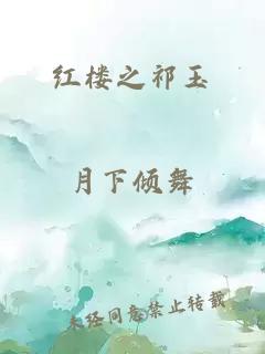 红楼之祁玉