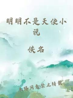 明明不是天使小说