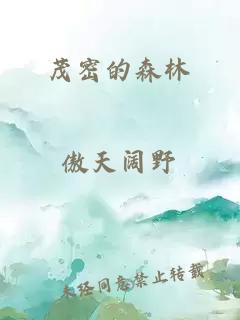 茂密的森林