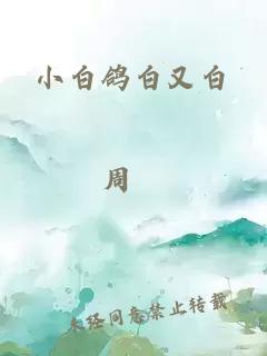 小白鸽白又白