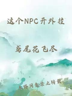 这个NPC开外挂