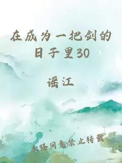 在成为一把剑的日子里30