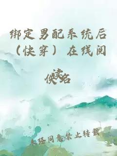 绑定男配系统后（快穿）在线阅读