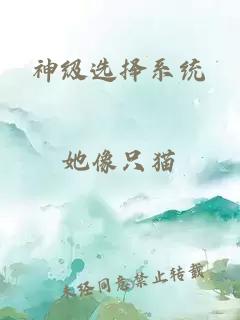 神级选择系统