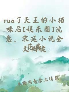 rua了天王的小猫咪后[娱乐圈]沈意，宋延小说全文阅读